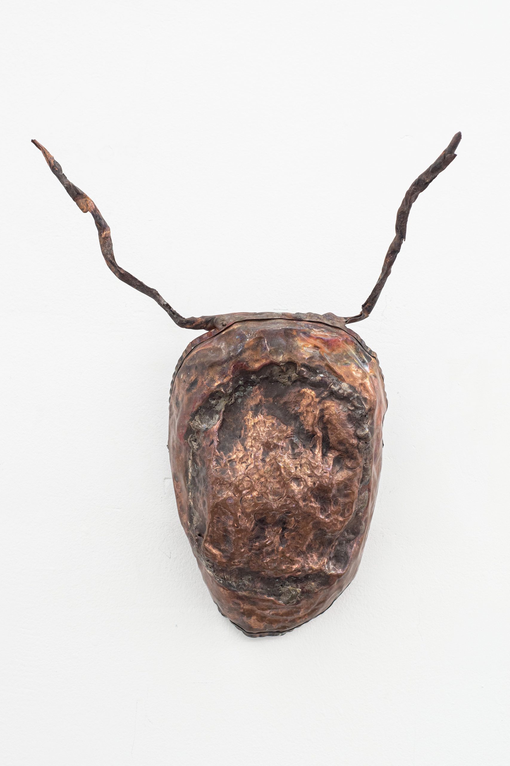 Anonymus